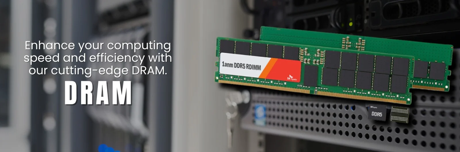 WhatsApp-Image-2024-07-05-at-2.12.53-PM