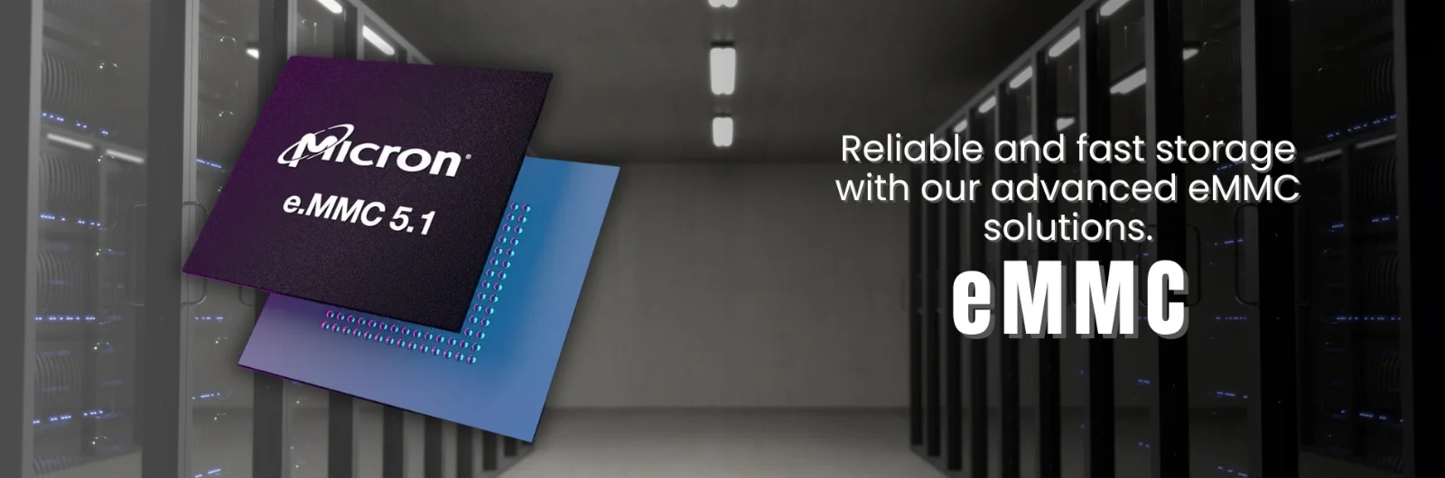 WhatsApp-Image-2024-07-05-at-2.33.09-PM